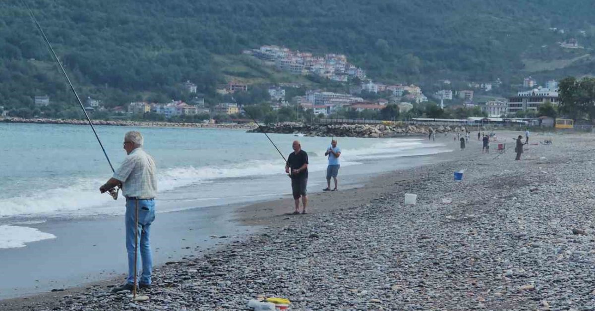 kastamonu cidede balikcilar denizle bulustu istavritler kovalari dolduruldu DipBckhe.jpg