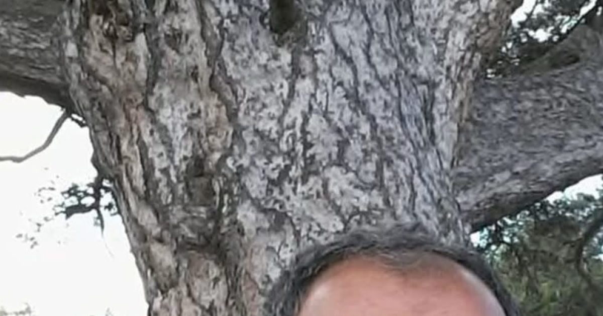 kastamonuda feci olay uzerine agac devrilen adam hayatini kaybetti gG2Cdj1e.jpg
