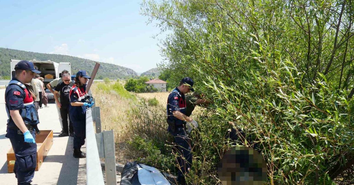 kastamonuda korkunc kaza bisiklet surucusu agac altinda olu bulundu BtYmBUXJ.jpg