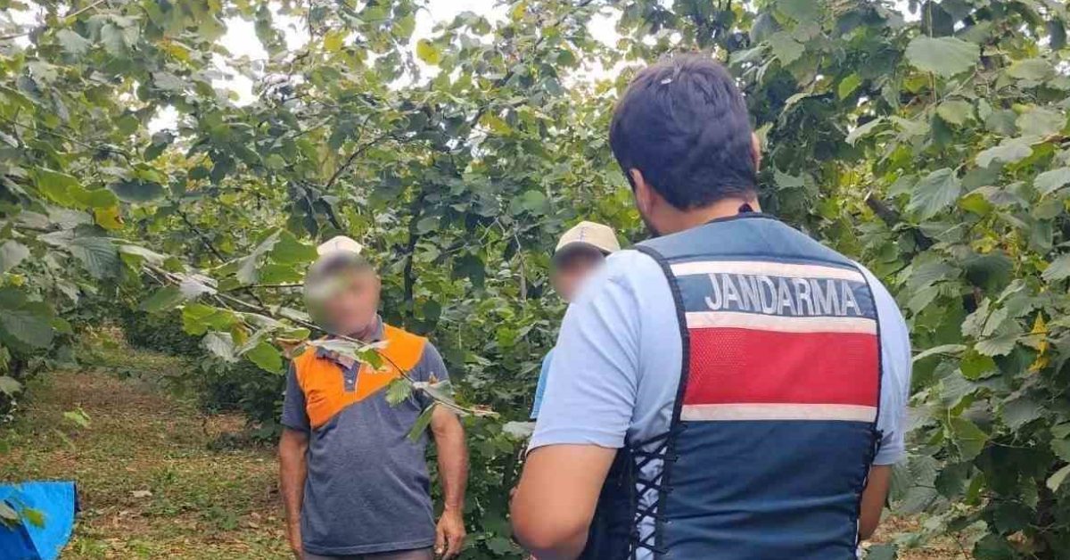 kocaeli kandirada findik tarlalari icin jandarma guvenligi artirildi jQjMp3in.jpg