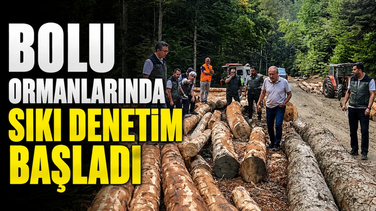 orman denetim