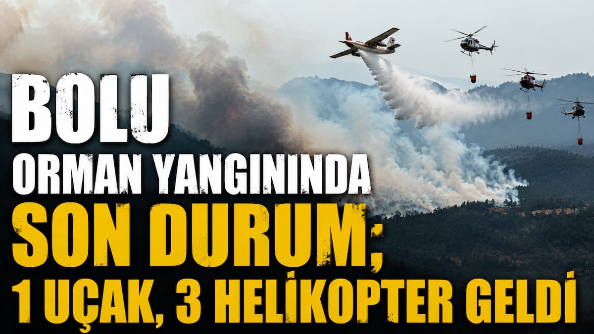 orman yangını