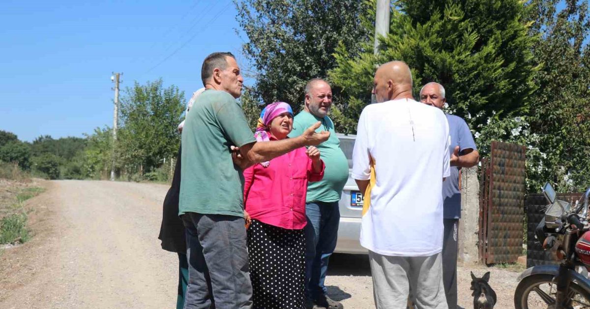 sakarya adapazarinda tas atan gizemli sahis panik yaratiyor VrVBiMG6.jpg