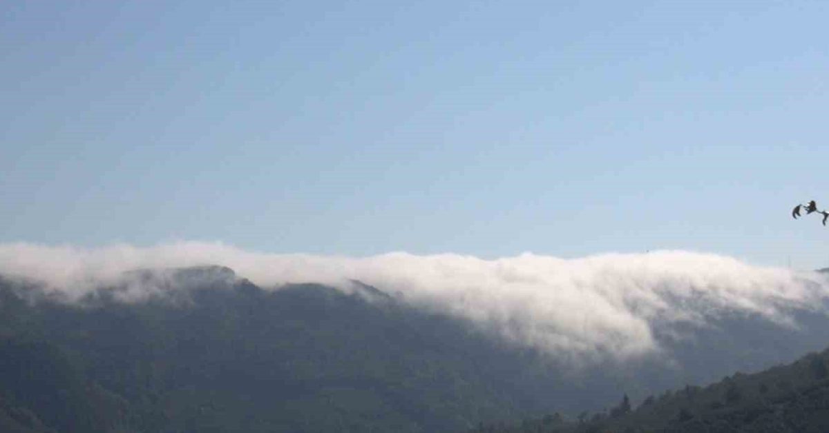 sakarya hendekte kartpostal gibi manzara buyuledi FHTrLFNU.jpg