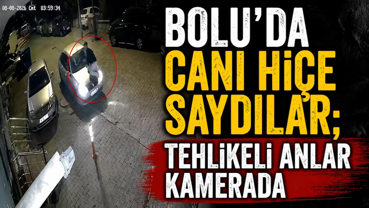 tehlike