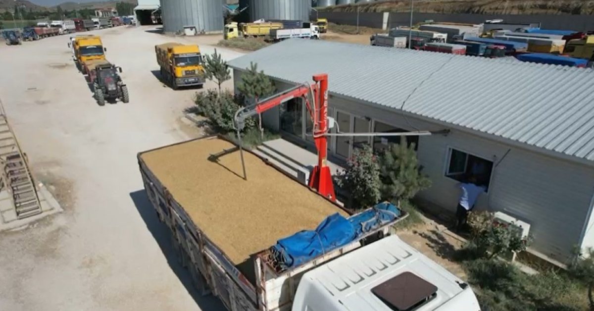 tmo 115 milyon ton hububat aldi ureticilere 120 milyar lira odendi dDjgmTki.jpg