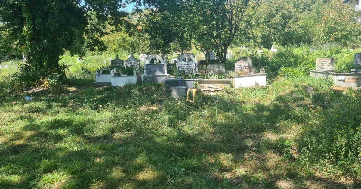 zonguldak caycumada bebek cesedi ihbari ortaligi karistirdi xD8BxSFv.jpg