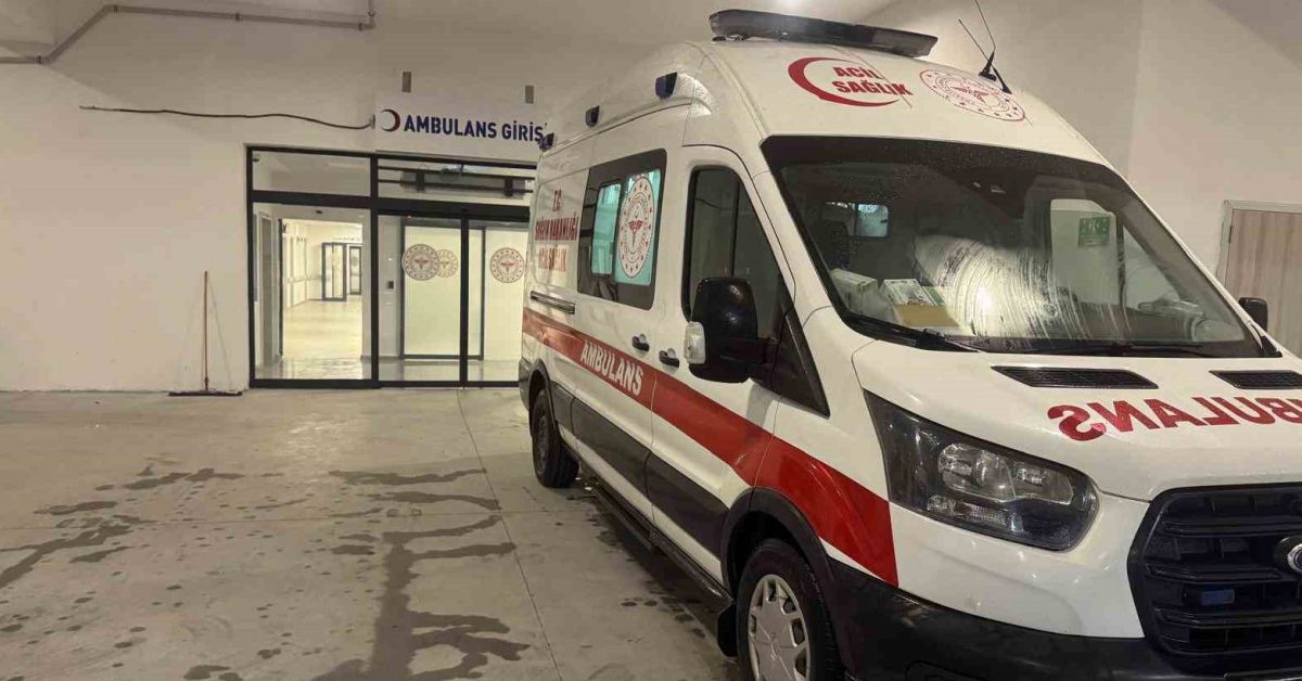 zonguldakta incir agacindan dusen adam agir yaralandi 25Qe5H6U.jpg