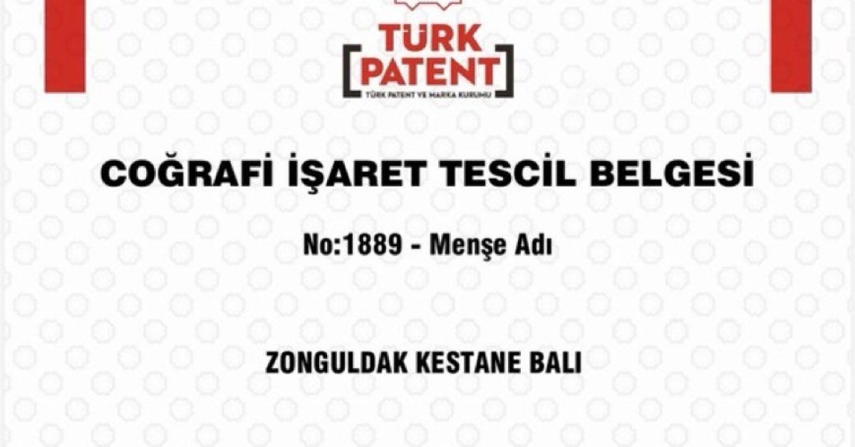 zonguldakta kestane bali cografi isaretle tescillendi G61jbVRV.jpg