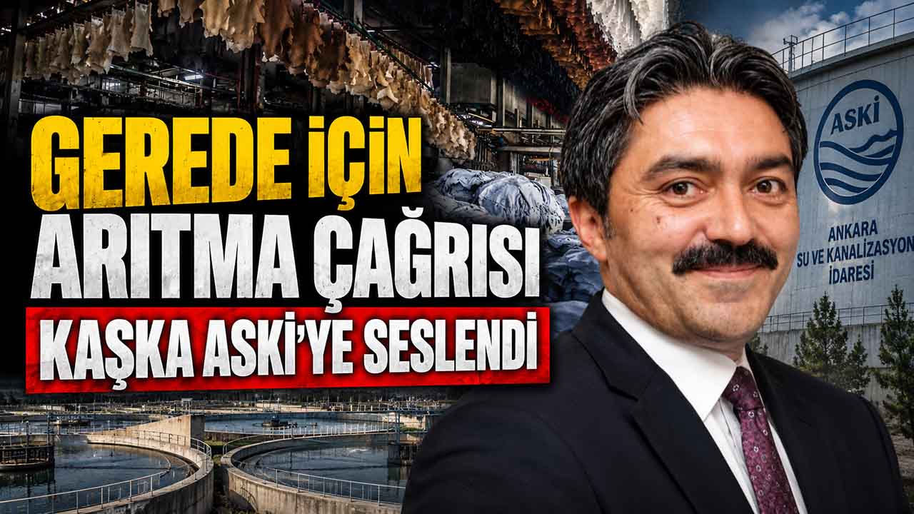 KAŞKA ARITMA