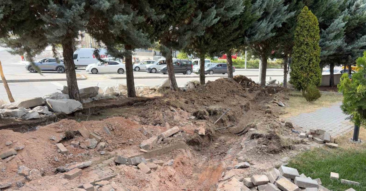 ankara etimesgutta agac kesimi krizi 2I95HREz.jpg