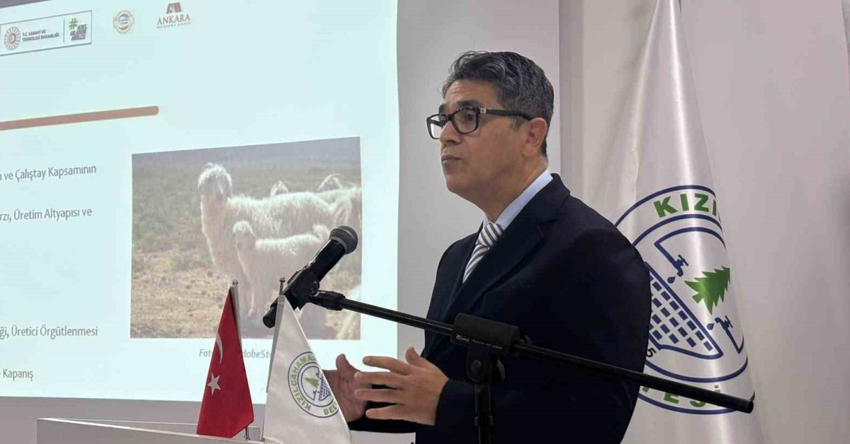 ankara kecisinin gelecegi kizilcahamamda masaya yatirildi 5VAuVrfz.jpg