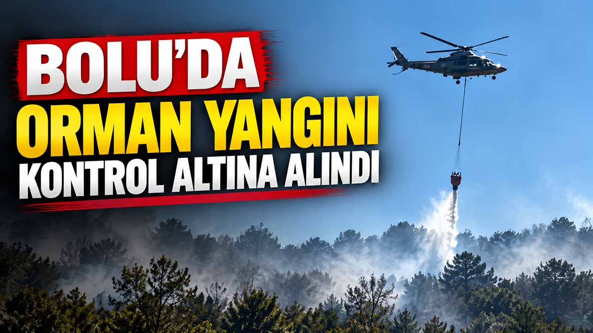 bolu orman yangını