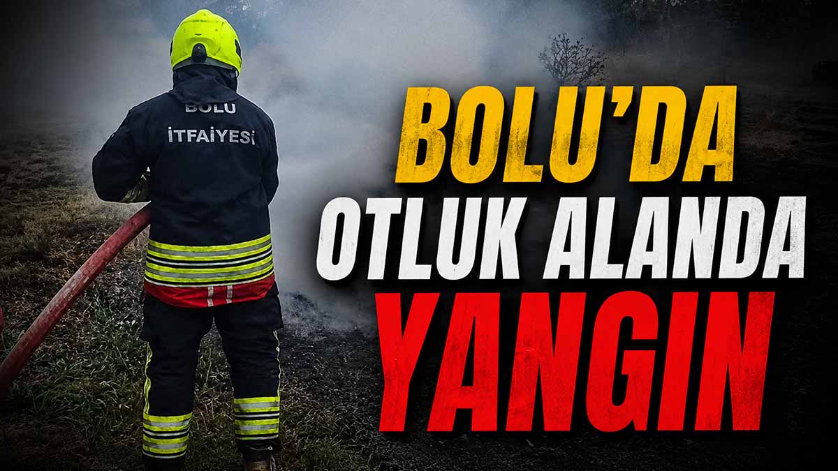 bolu yangın9