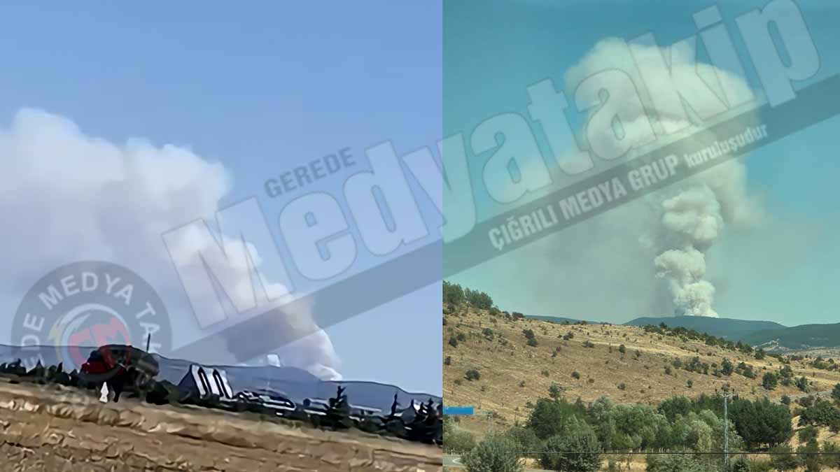 çankırı çerkeş yangın 99