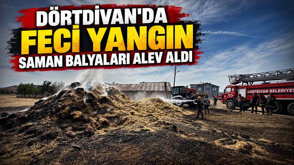 dörtdivan yangın