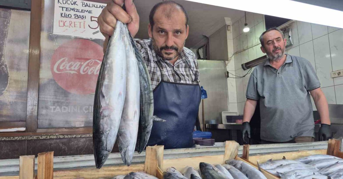 duzcede balik bollugu palamut 100 liradan basliyor 4TPialFW.jpg