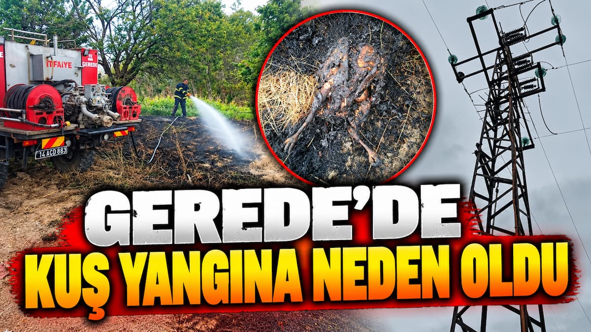 gerede yangın (1)