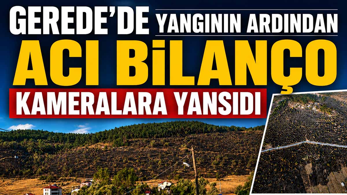 gerede yangın acı bilanço