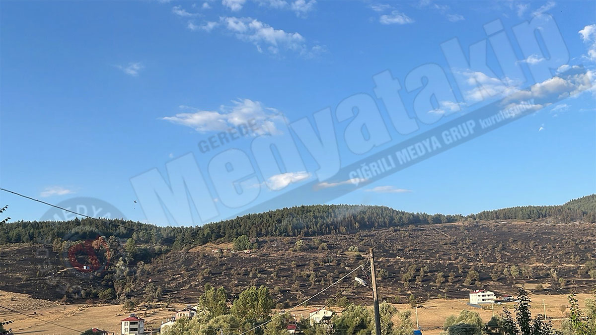 gerede yangın acı bilanço3