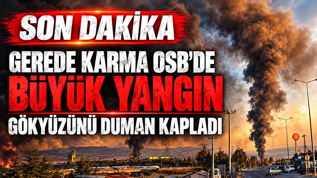 gerede yangın karma