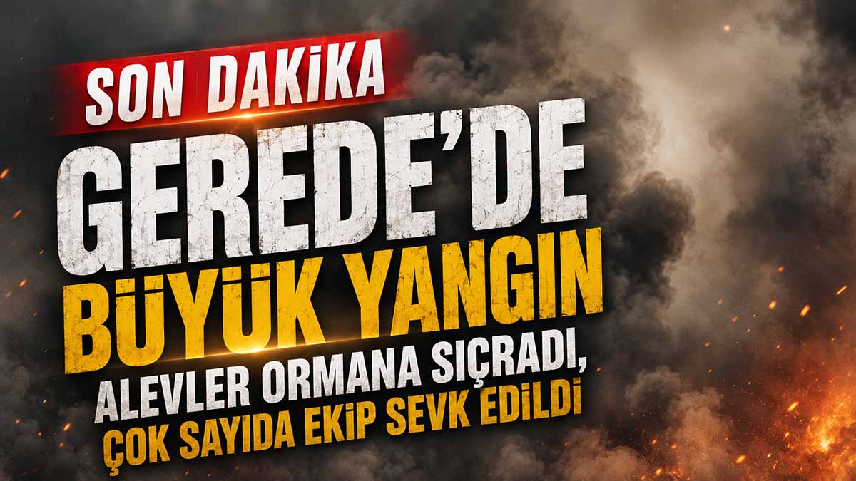 gerede yangın3