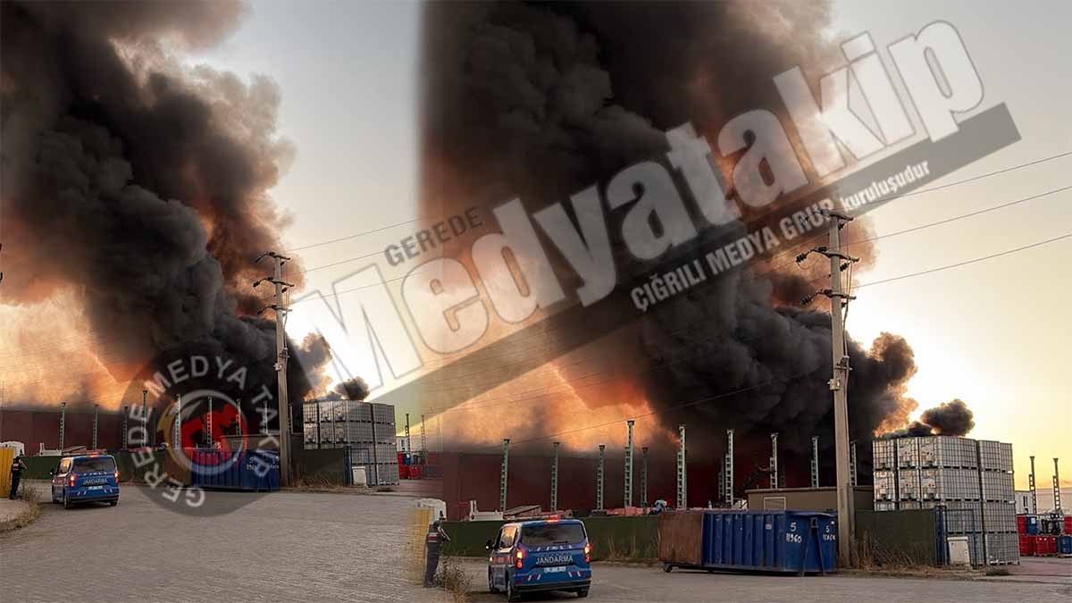 gerede yangın7