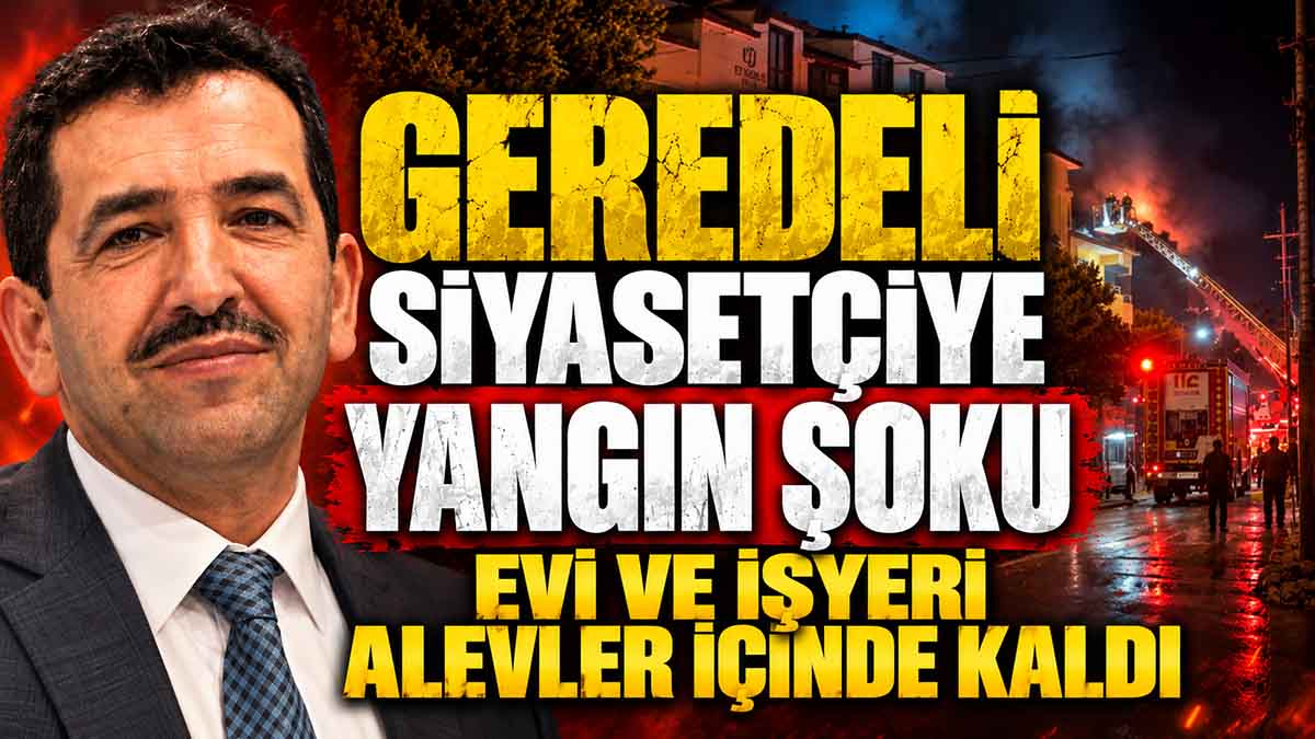gerede yangın8