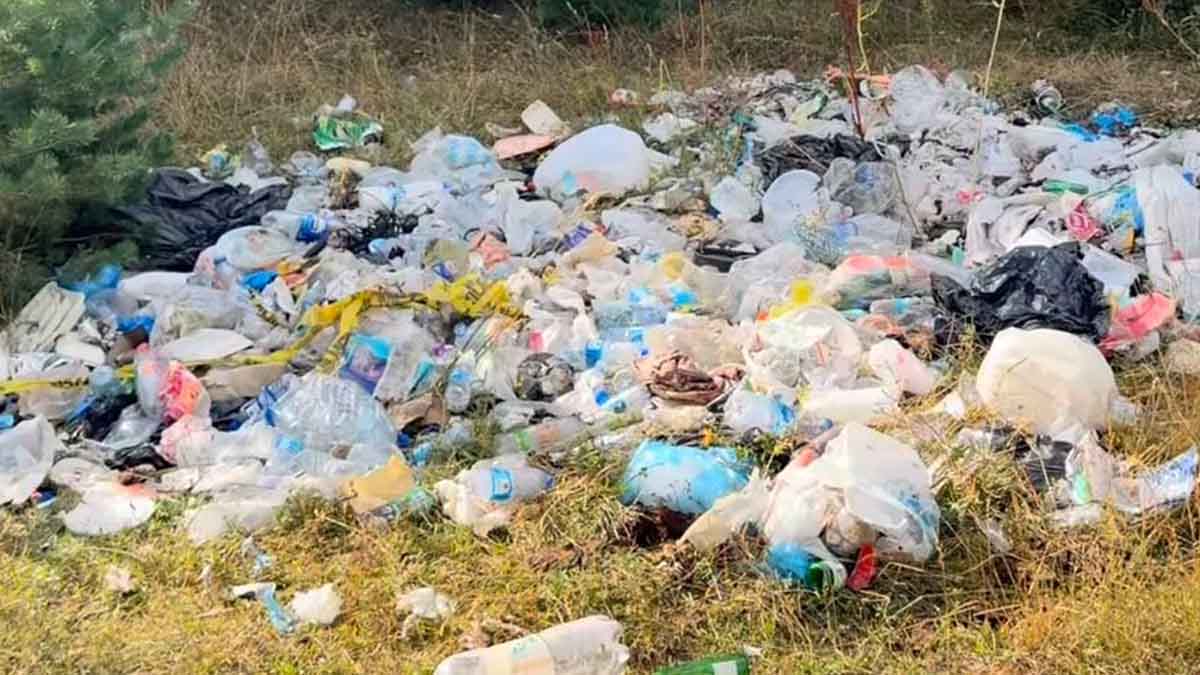 gerede yünlü yaylaları çöp