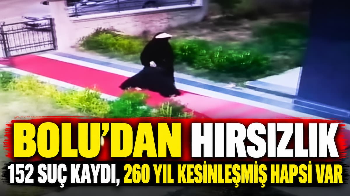 hırsızlık