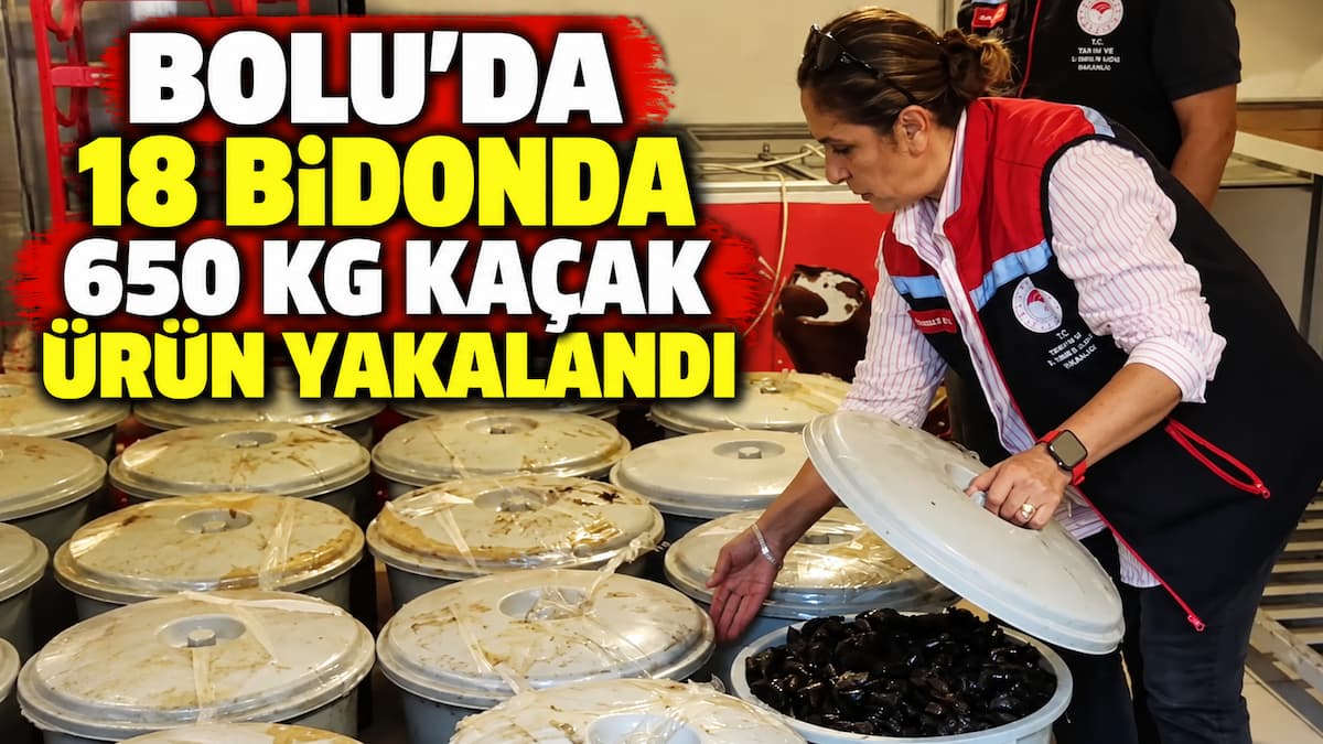 kaçak midye