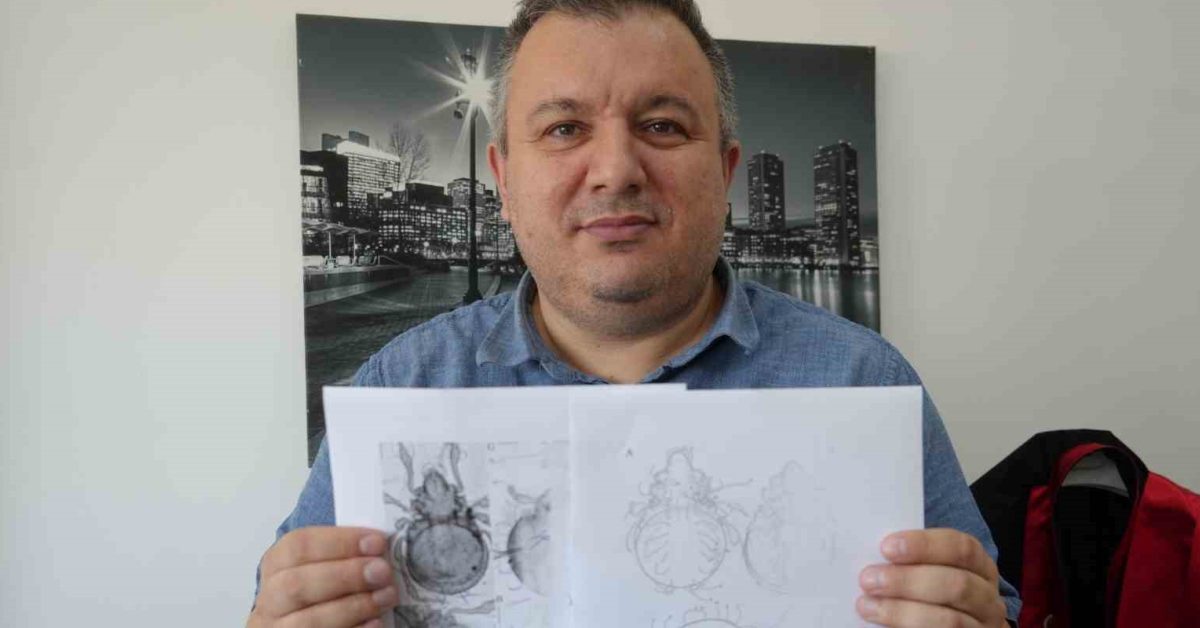 kastamonuda heyecanlandiran kesif yeni bir tur bulundu LJKM3q1g.jpg