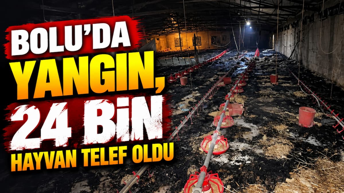 kümes yangını