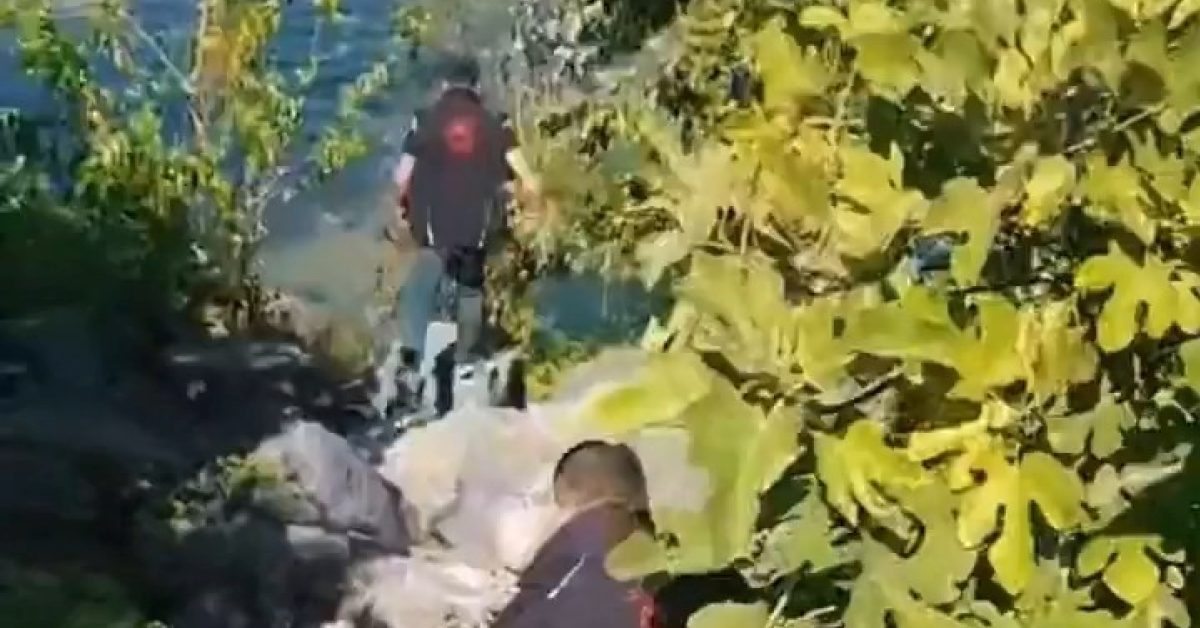 sakaryada yasa disi avcilik denetimi nqJbzql3.jpg
