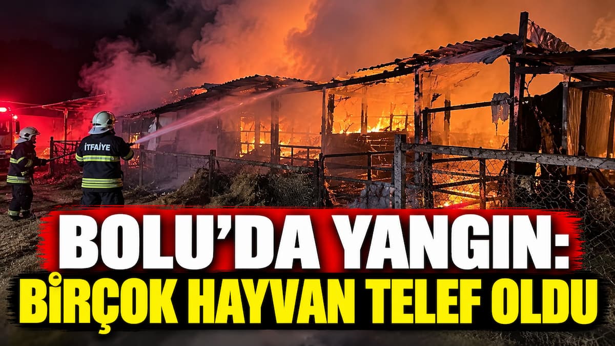 yangın (13)
