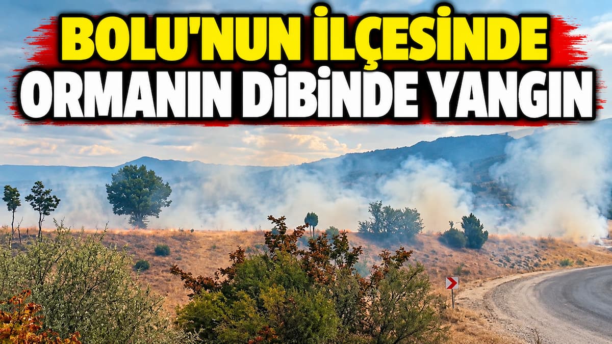 yangın (2) (1)