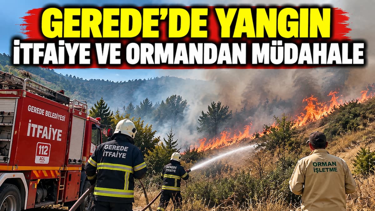 yangın