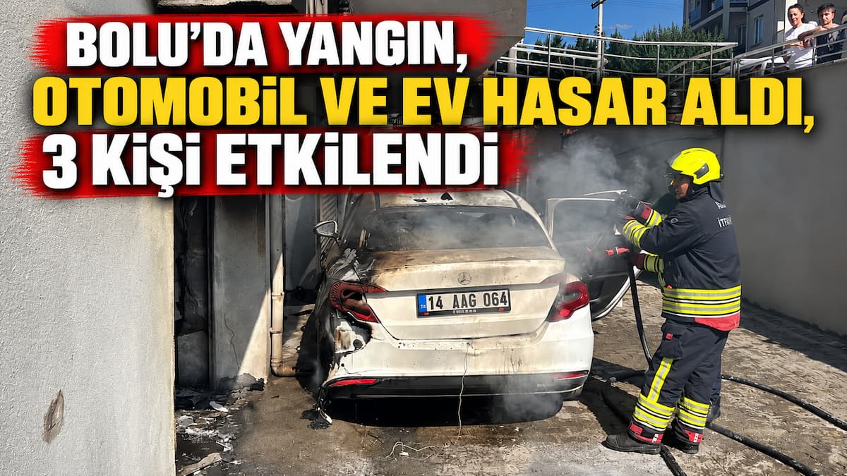 yangınn
