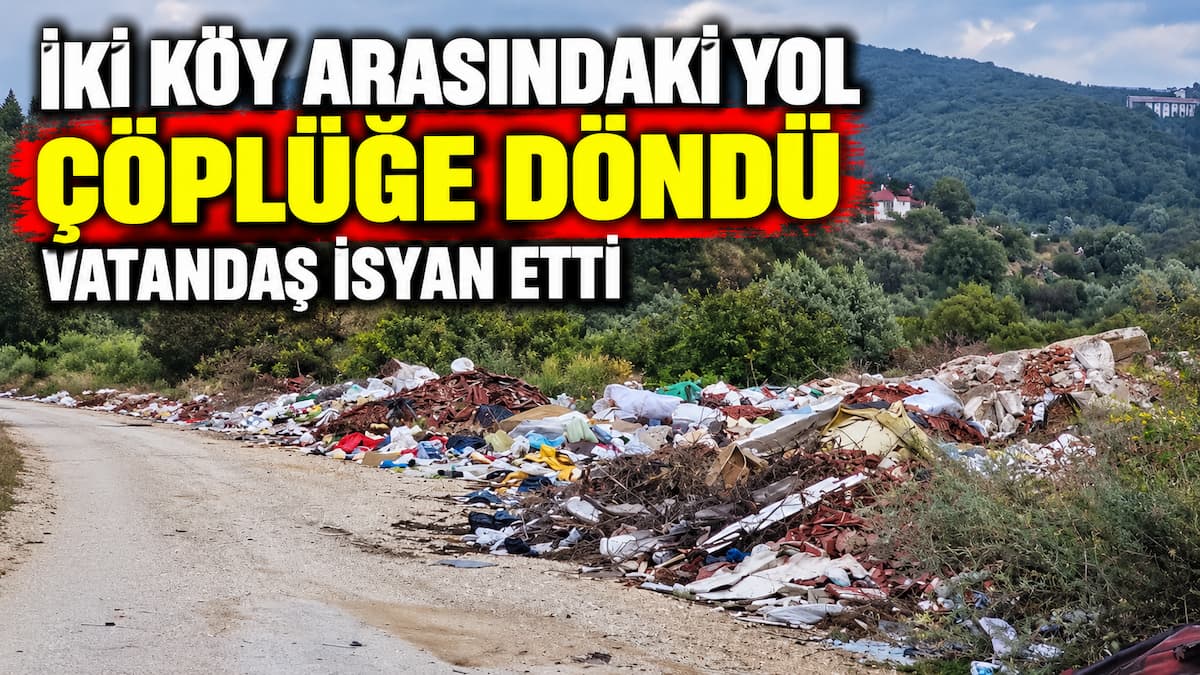 yol çöp