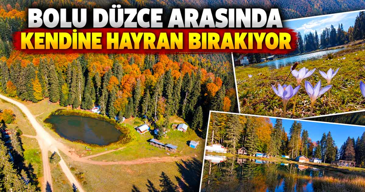 Bolu Düzce Arasında Kendine Hayran Bırakıyor