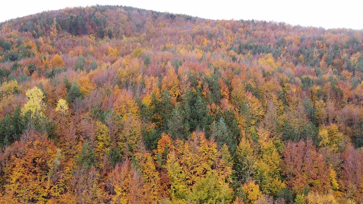 Bolu Mudurnu Yolu