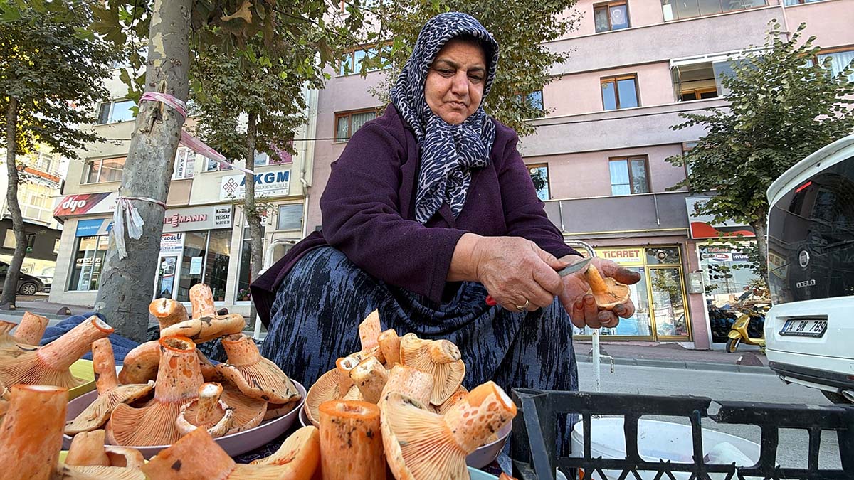 Bolu’da Ormandan Toplanan Kanlıca Mantarı 600 Liradan Satılıyor