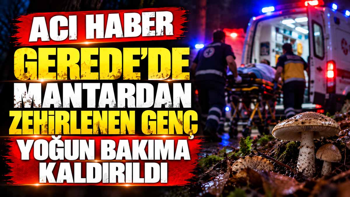 GEREDE MANTAR ZEHİRLENME