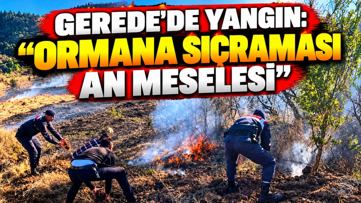 Gerede’de Ormana Sıçrayan Yangın