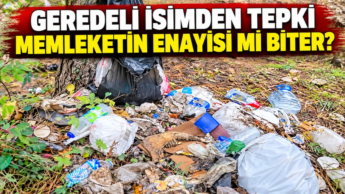 Ormanda Çöp Kirliliği ve Tepki