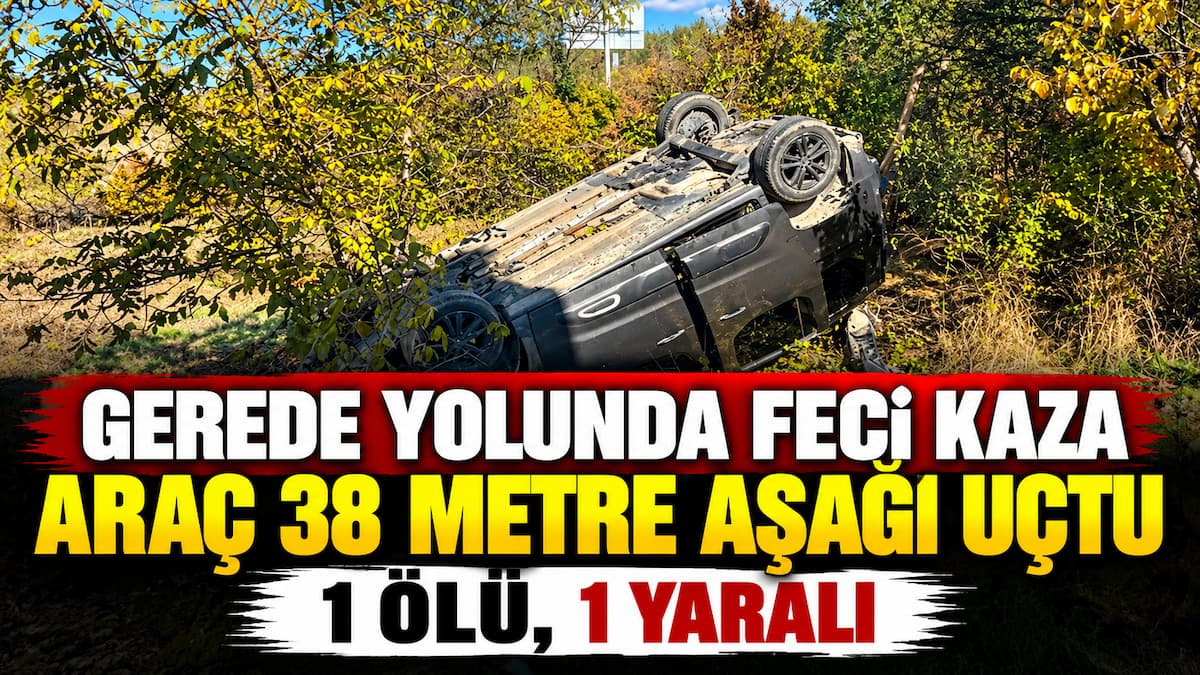 Ormanlık Alanda Devrilen Araç