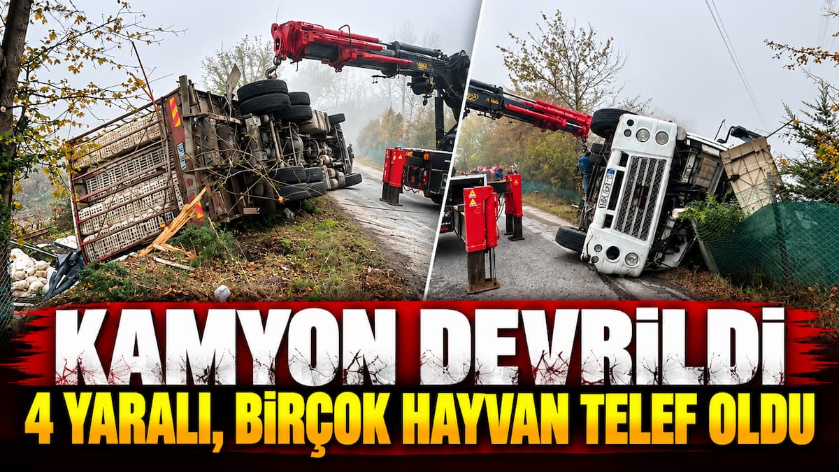 Sisli Yolda Devrilen Hayvan Kamyonu