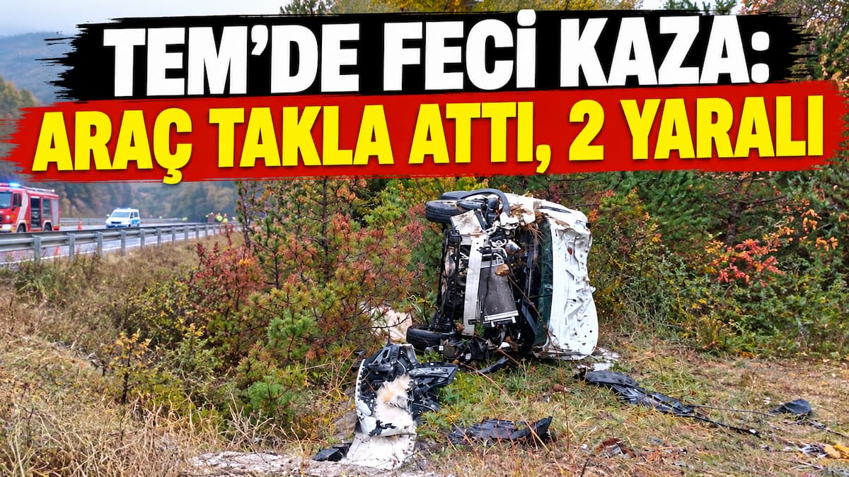 TEM’de Feci Kaza 2 Yaralı