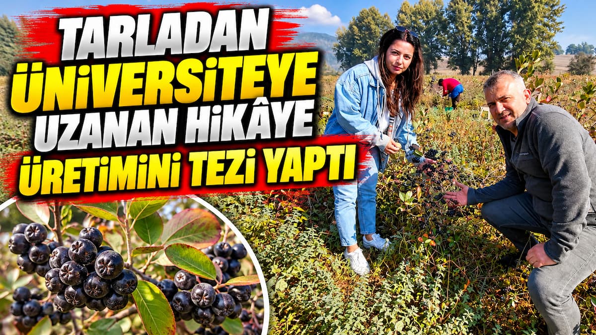 Tarladan Üniversiteye Uzanan Hikâye