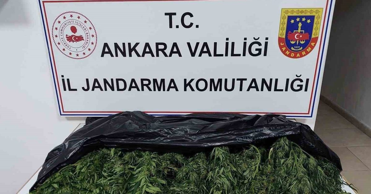 ankara elmadagda uyusturucu operasyonu 1 supheli gozaltina alindi WAQm9yG2.jpg